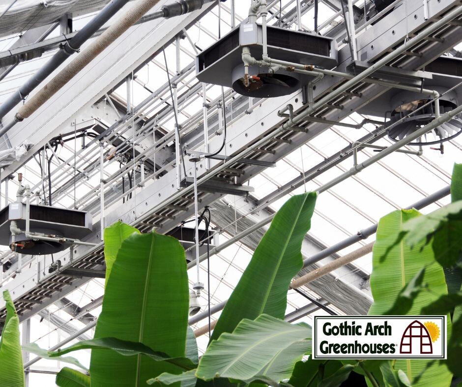What to Consider With Greenhouse Ventilation