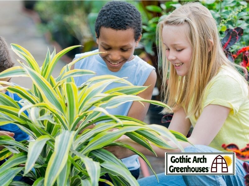 Why Greenhouses in Schools Are Important