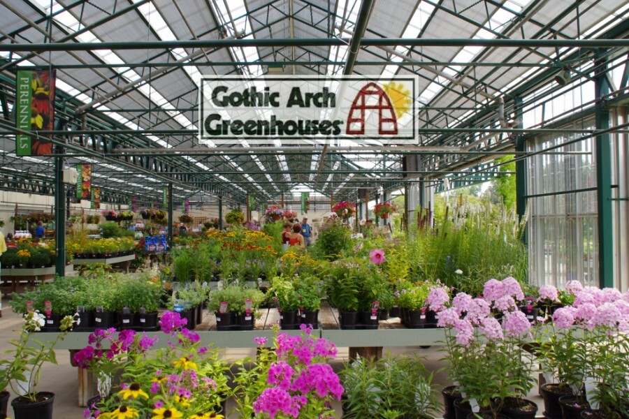 Best Flowers to Grow in Your Winter Greenhouse
