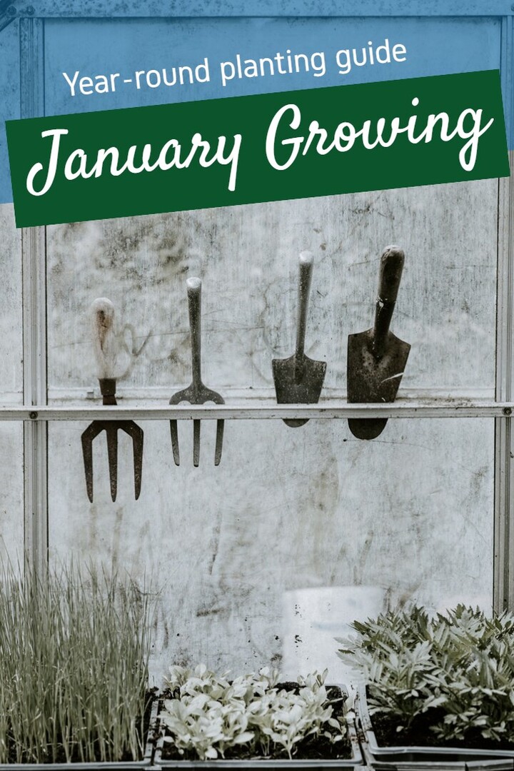  Explore a comprehensive list of resources to help you achieve year-round gardening success. From informative websites and online communities to helpful books and apps, this blog post provides a wealth of valuable resources to support your journey in growing plants throughout the year.