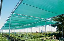 Shade Houses - W-Truss Shade housse