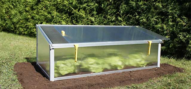 Mini Year Round Cold Frame